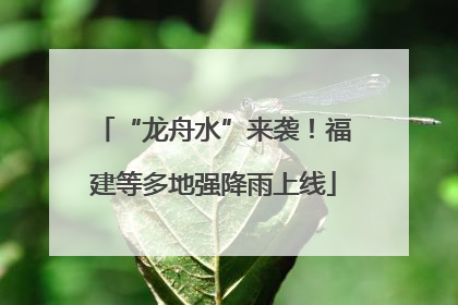 “龙舟水”来袭！福建等多地强降雨上线